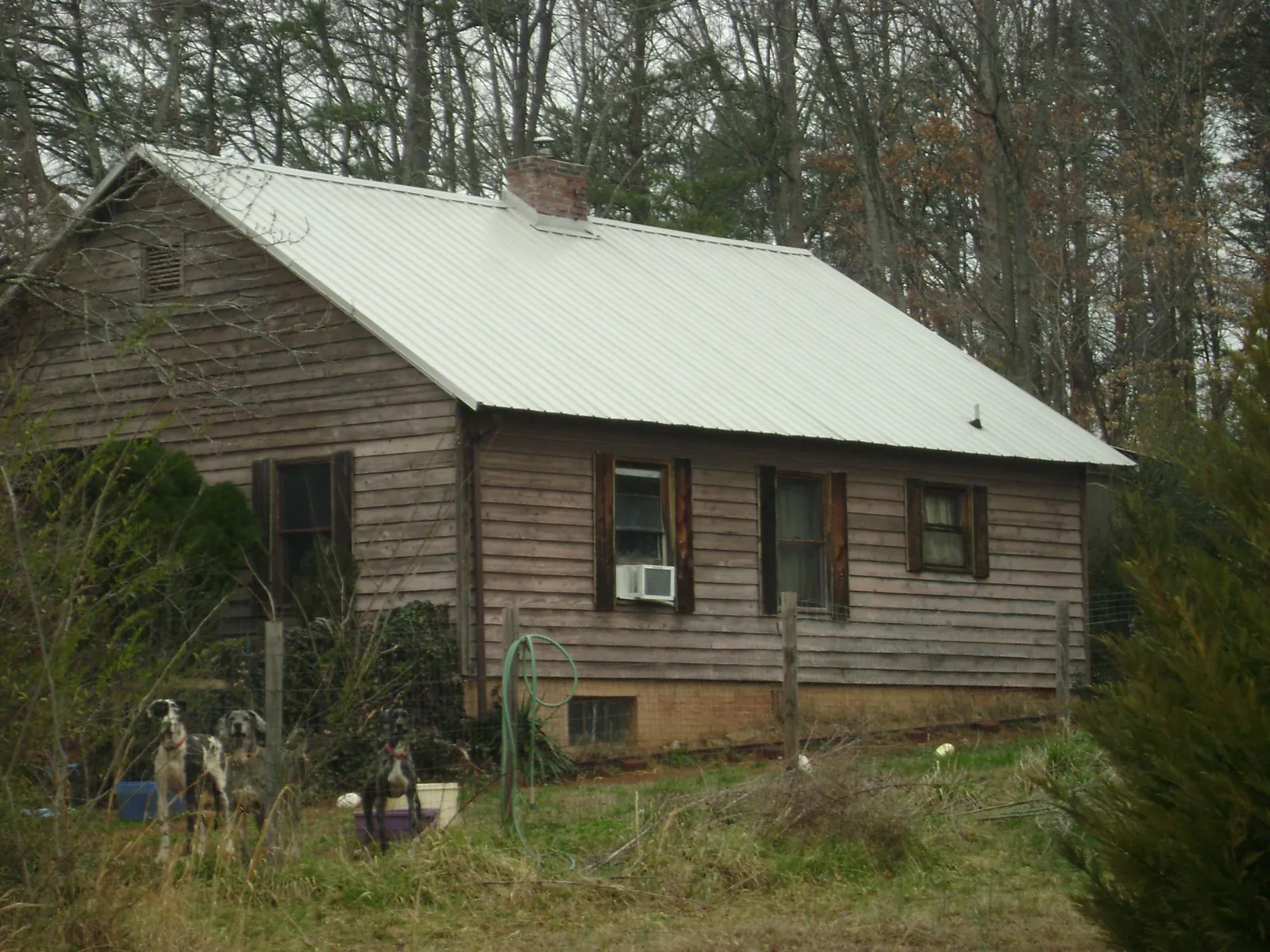 White metal roof on an old wood sided farmhouse, from a Asphalt Shingle Roof Repair job in Gouldsboro